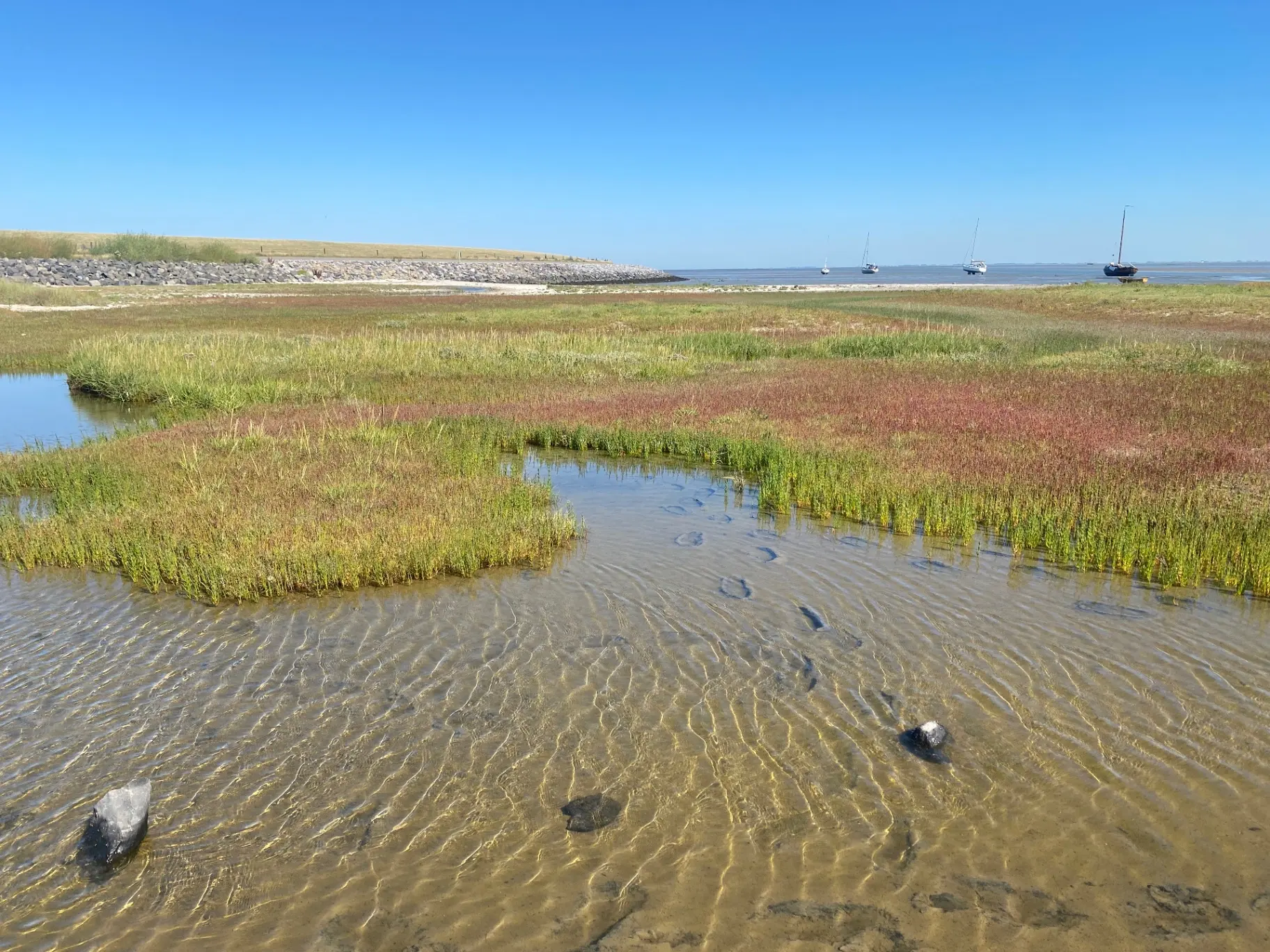 Waddenweken - 12