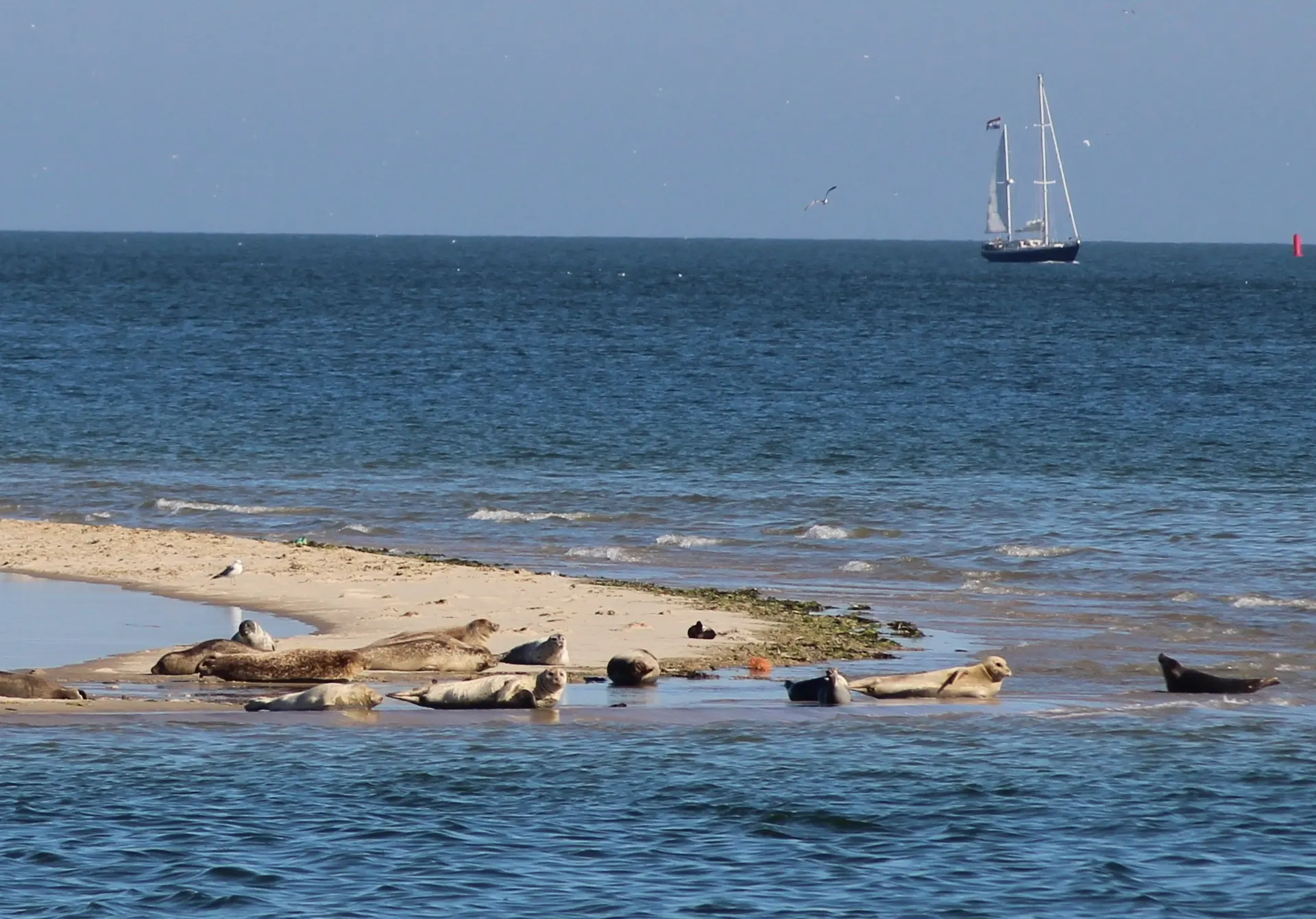 Waddenweken - 4