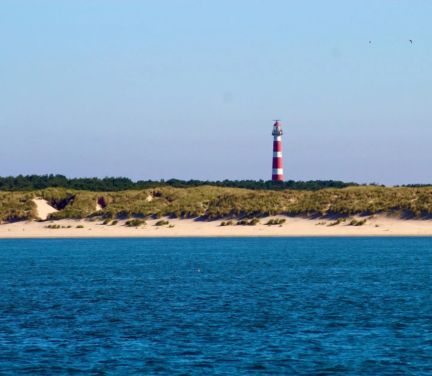 Waddenweken - 11