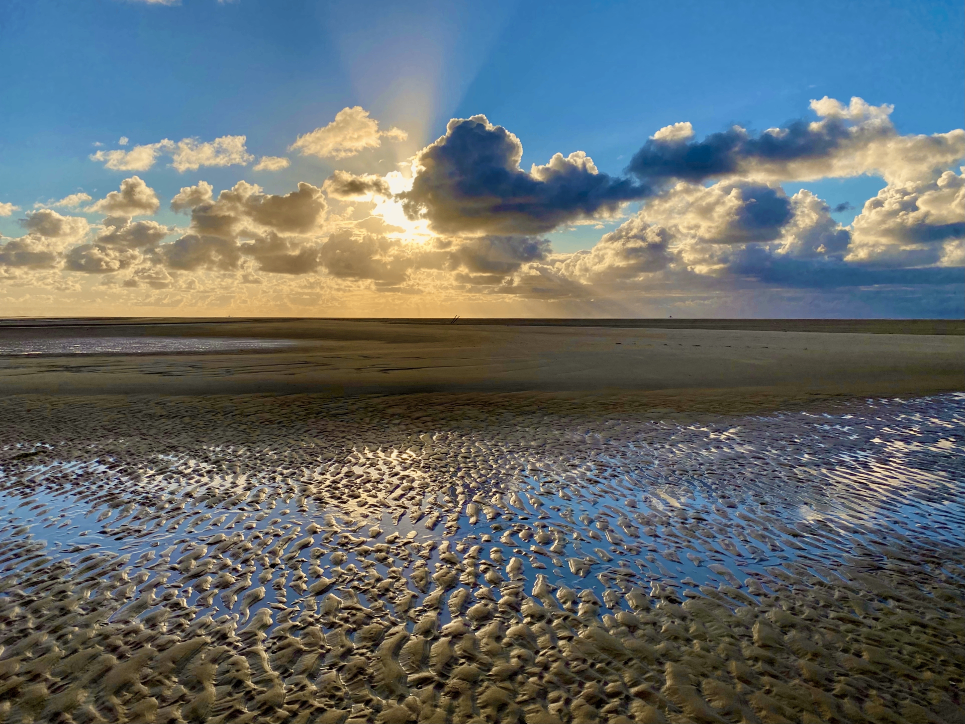 Waddenweken